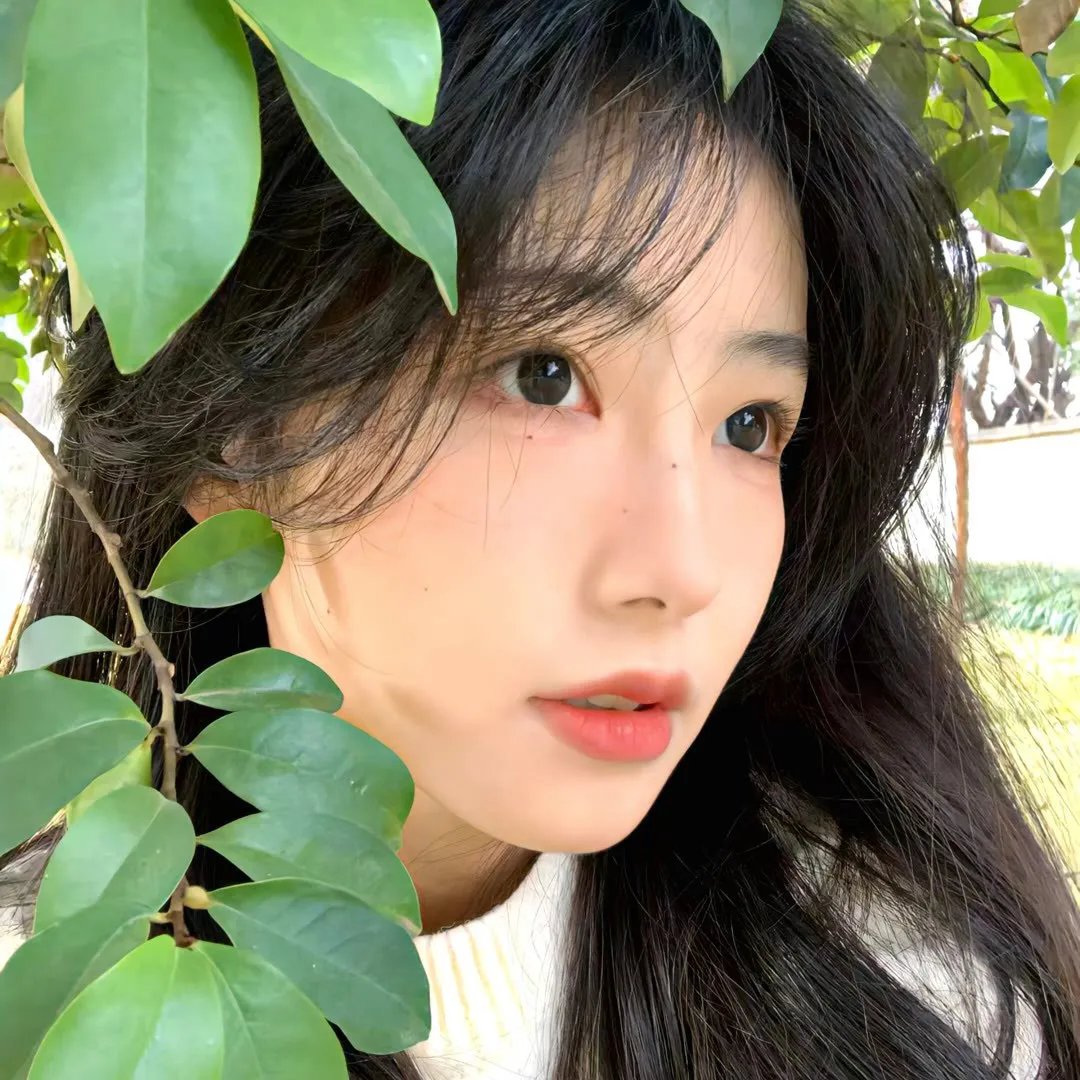 梅花儿香