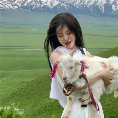上车家族粤语